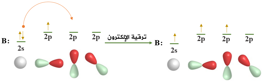 تهجين ذرة البورون